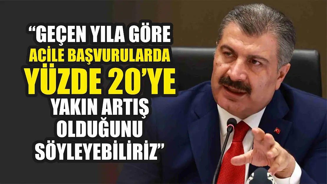 'Geçen yıla göre acile başvurularda yüzde 20'ye yakın artış olduğunu söyleyebiliriz'