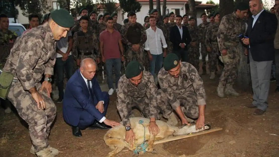 Geçici görevle Hakkari'ye giden Polisler için kurban kesildi