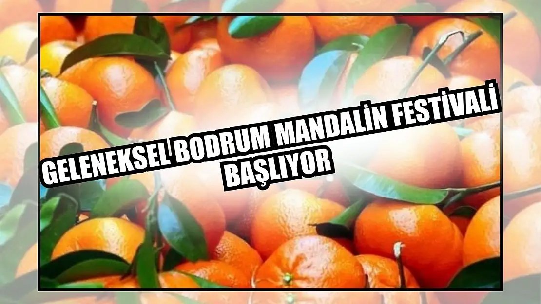 Geleneksel Bodrum Mandalin Festivali başlıyor