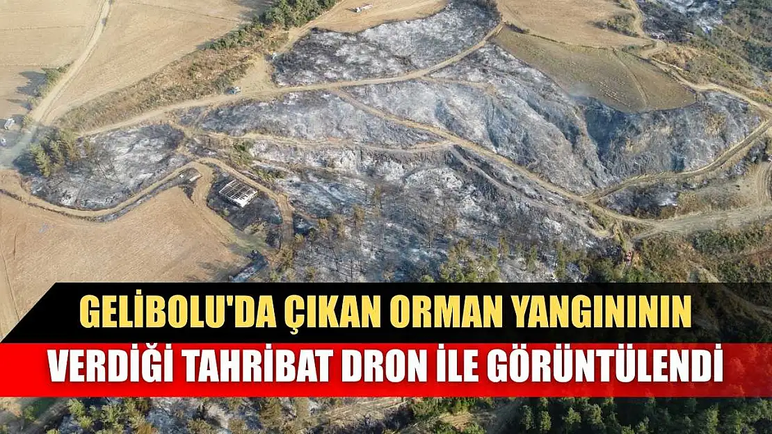 Gelibolu'da çıkan orman yangınının verdiği tahribat dron ile görüntülendi