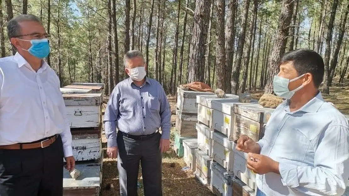 Girgin'den çağrı Bal ve zeytine boksit madeni için kıymayın!