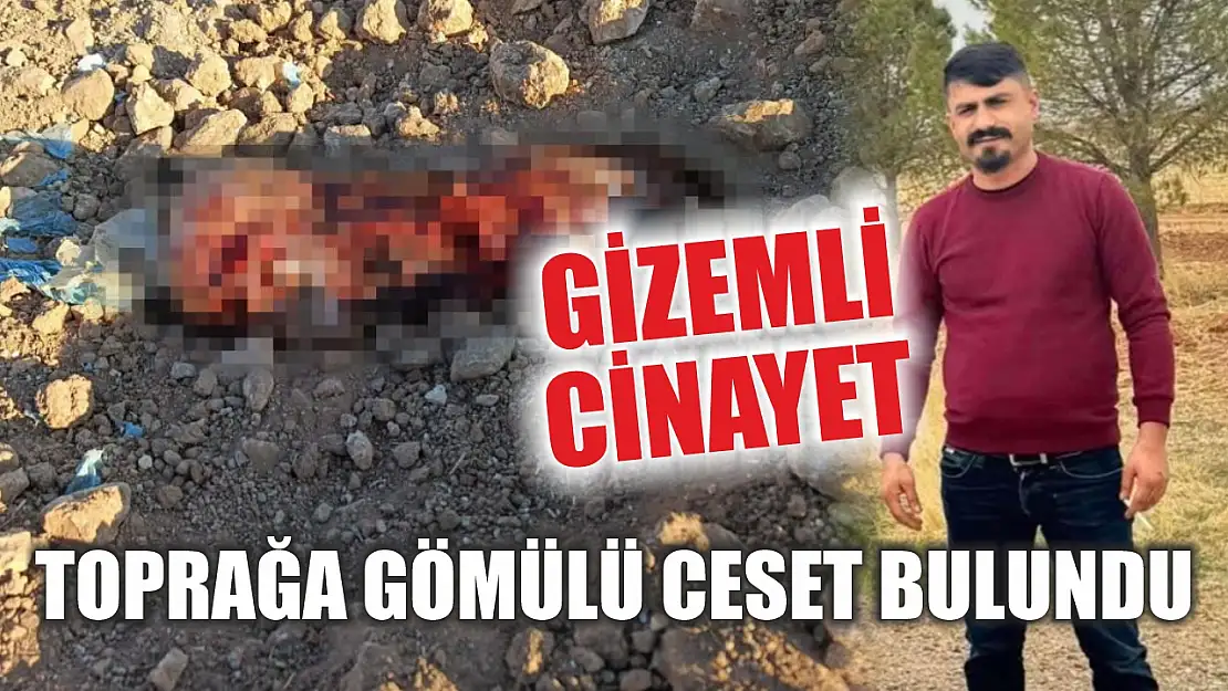 Gizemli Cinayet: Toprağa Gömülü Ceset Bulundu