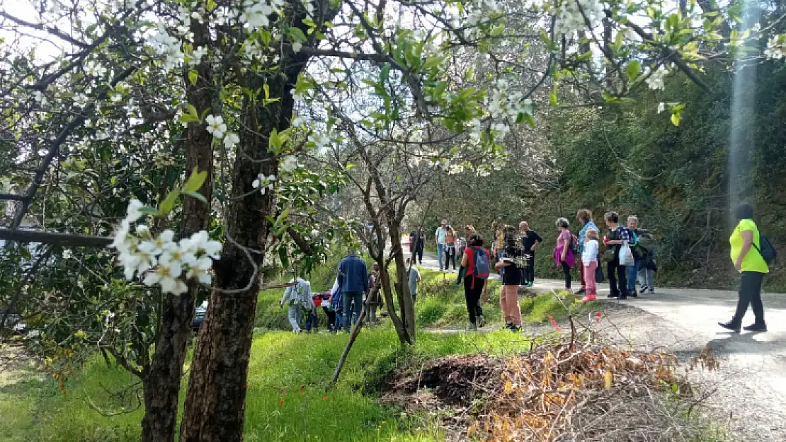 'GÖCEK OT YEMEKLERİ FESTİVALİ' BAŞLADI