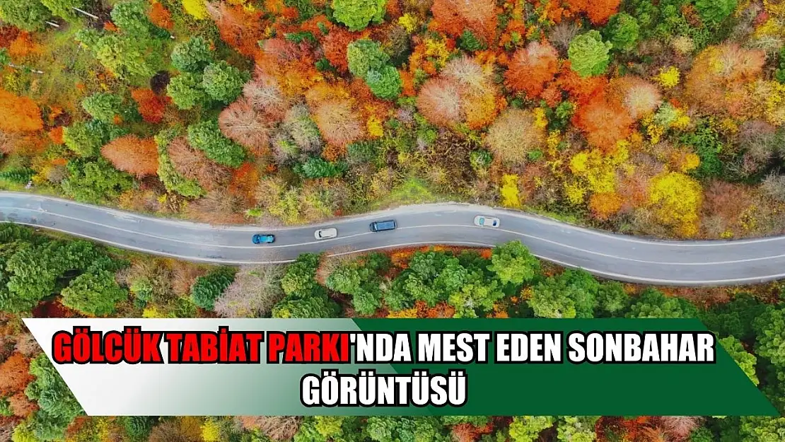 Gölcük Tabiat Parkı'nda mest eden sonbahar görüntüsü