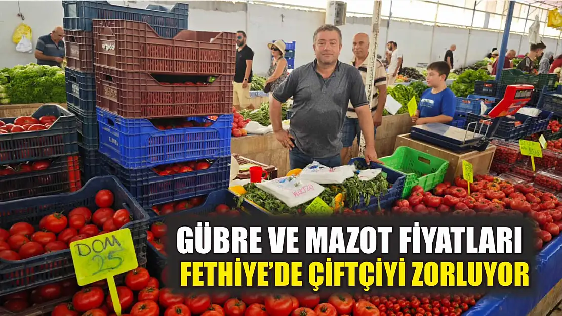 Gübre ve mazot fiyatları Fethiye'de çiftçiyi zorluyor