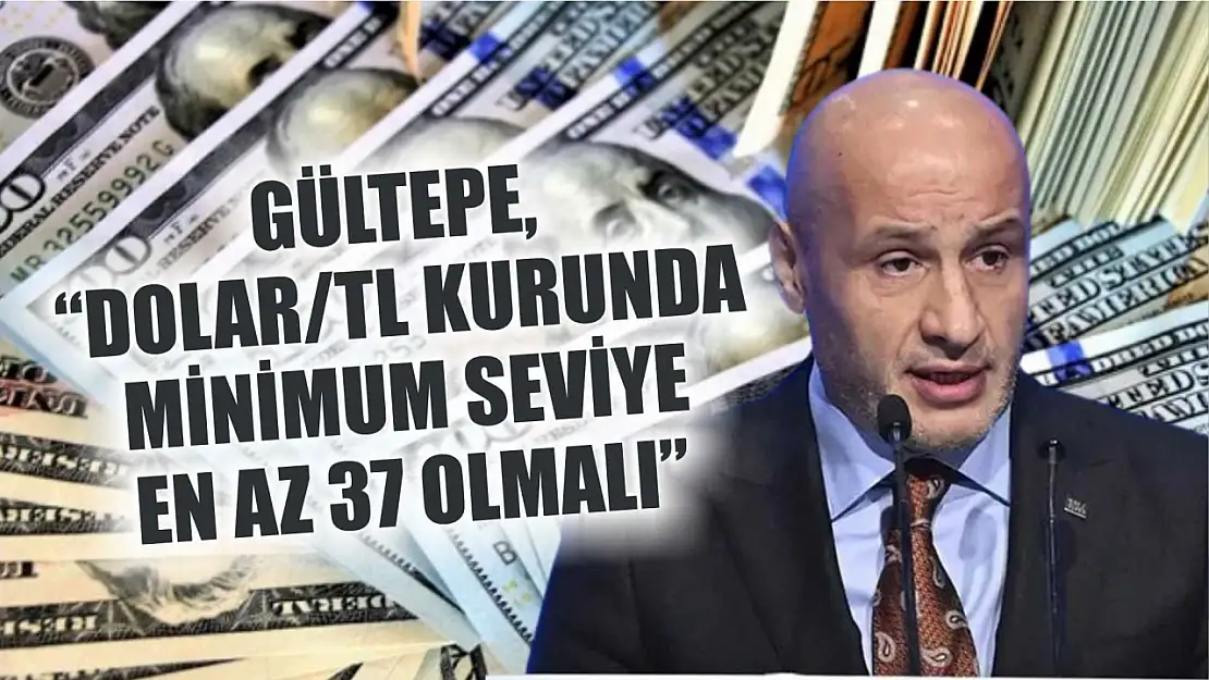 Gültepe, 'Dolar/TL Kurunda Minimum Seviye En Az 37 Olmalı'