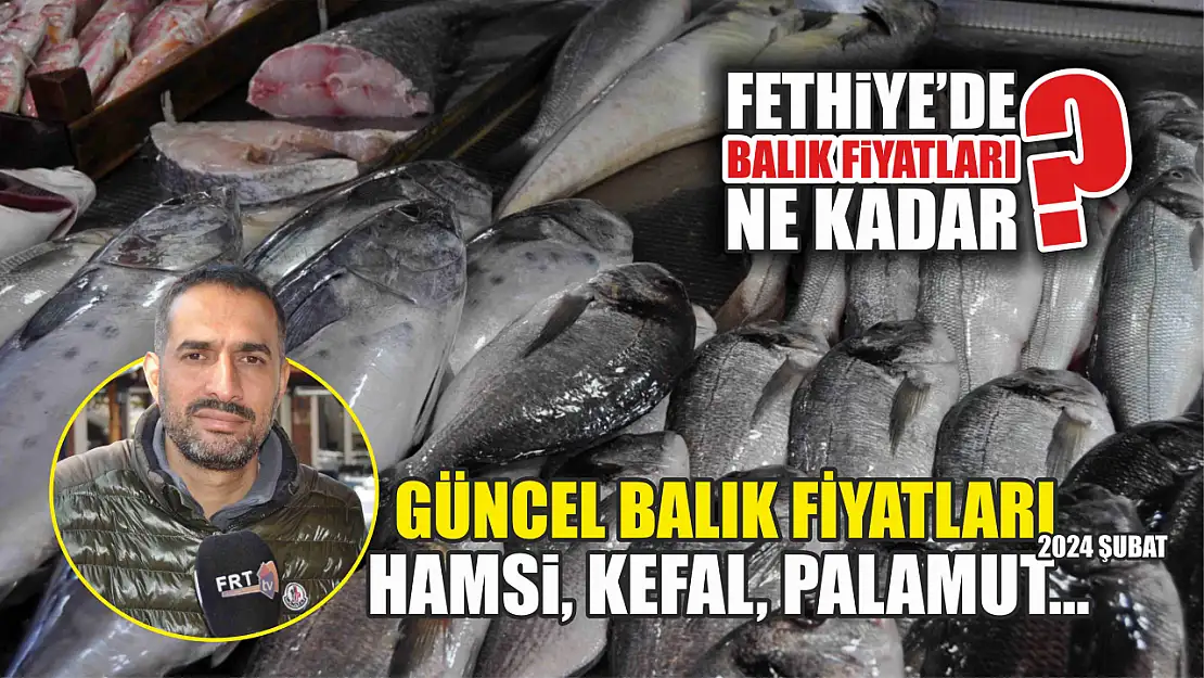 Güncel balık fiyatları Hamsi, Kefal, Palamut… 2024 Şubat 