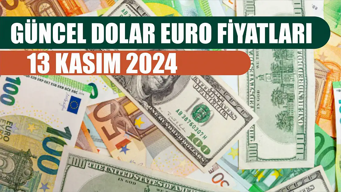 Güncel dolar euro fiyatları 13 Kasım 2024