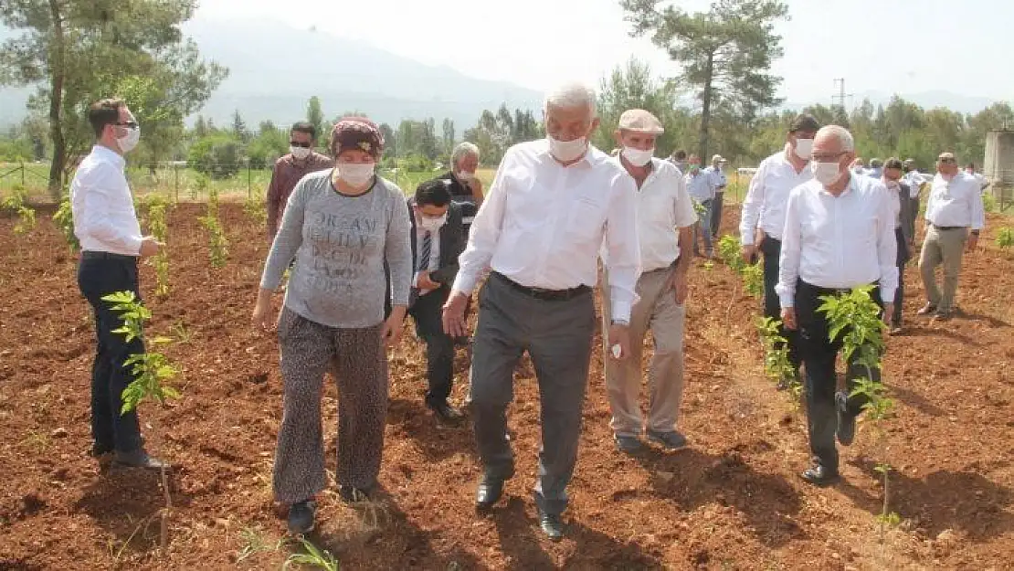 Gürün, 'Çiftçiden alıp, pazarda satmıyoruz'