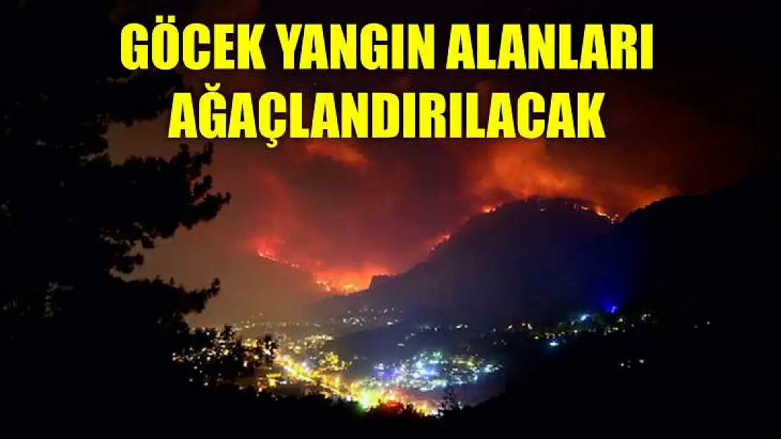 Göcek Yangın Alanları STK'lar İle Ağaçlandırılacak