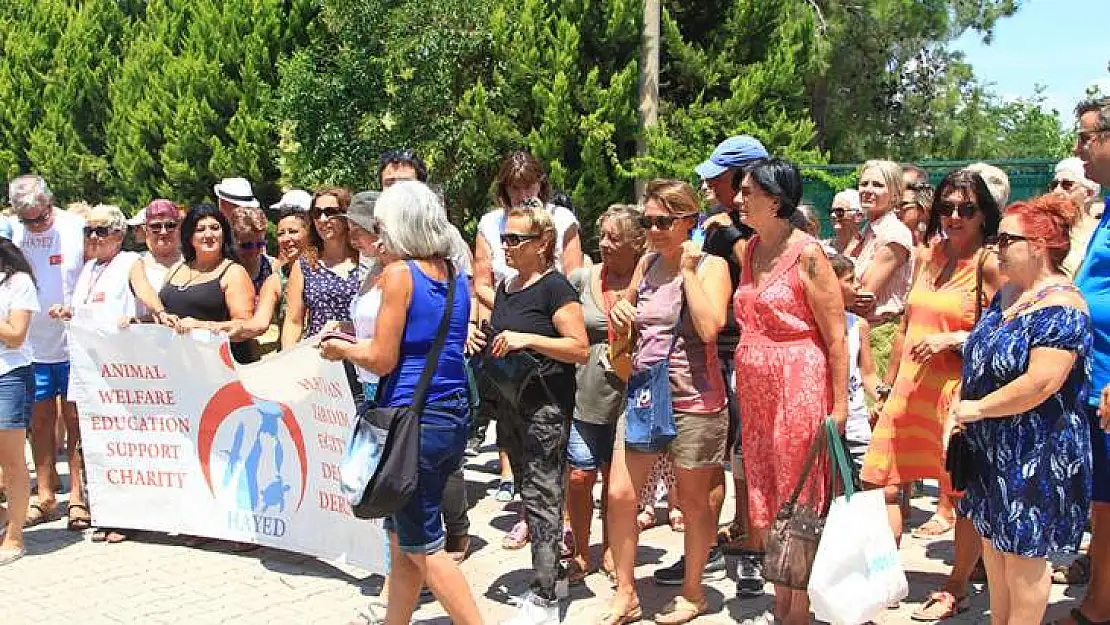 Ölen Köpek İçin Protesto Gösterisi Düzenlendi (video)