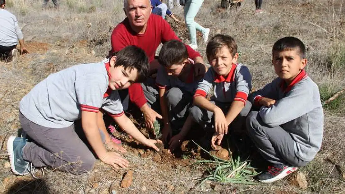 FETHİYE'DE DE 250 FİDAN TOPRAKLA BULUŞTU