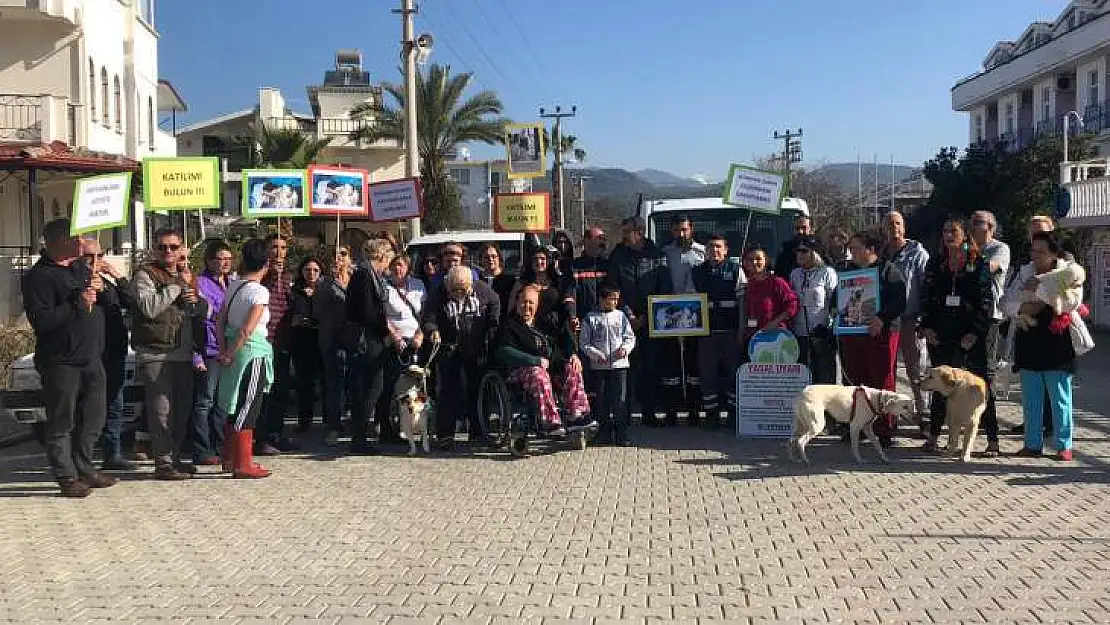 Fethiye'de Sokak Hayvanlarının Öldürülmesine Tepki