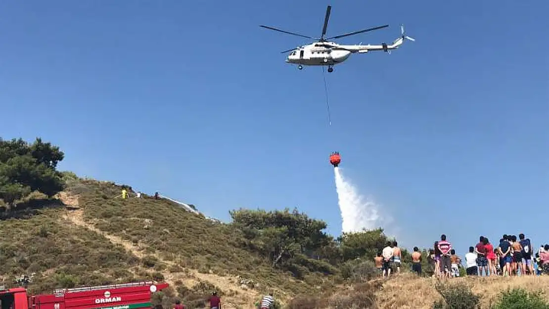 Plajda çıkan yangın tatilcileri korkuttu