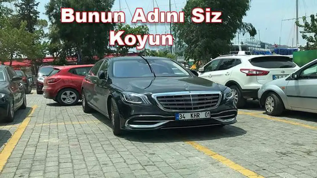 Bu Fotoğrafta Anormallik Var mı ?