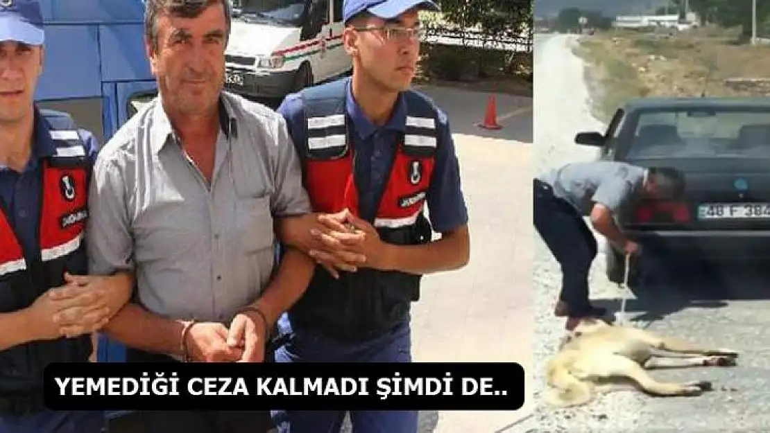 2 Yıla Kadar Hapsi İsteniyor