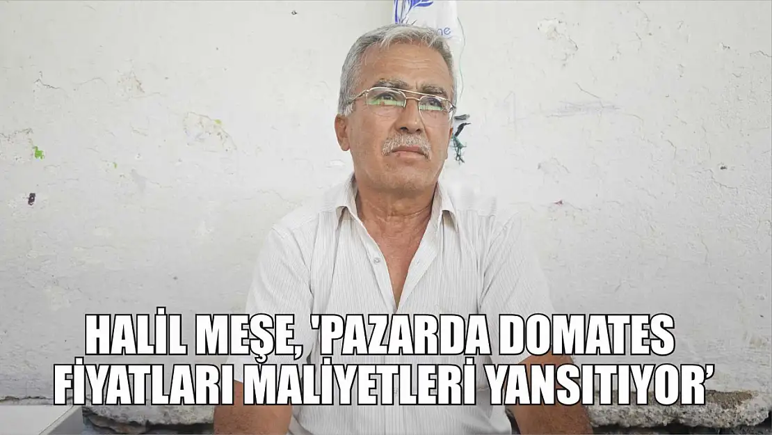 Halil Meşe, 'Pazarda Domates Fiyatları Maliyetleri Yansıtıyor'