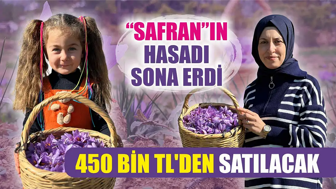 Hasadı sona eren safran 450 bin TL'den satılacak