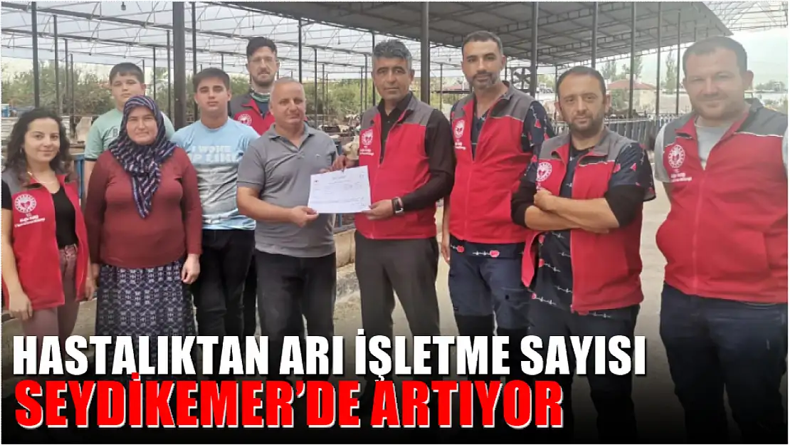 Hastalıktan Arı İşletme Sayısı Seydikemer'de Artıyor