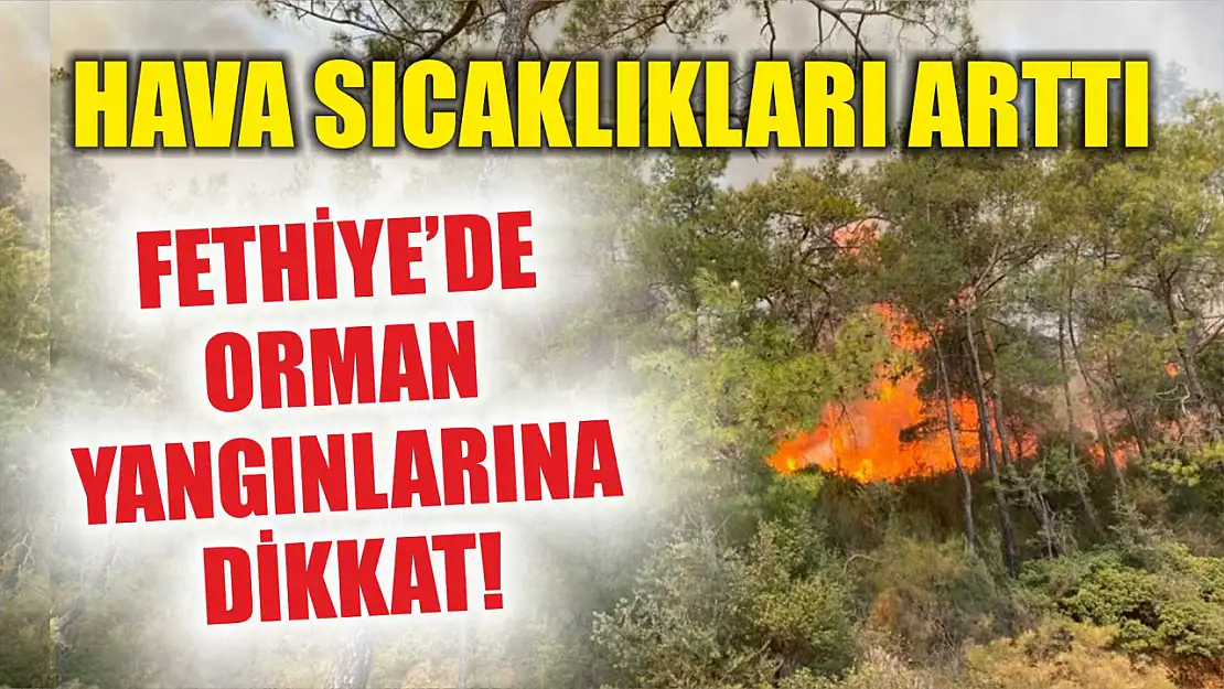 Hava sıcaklıkları arttı: Fethiye'de orman yangınlarına dikkat!