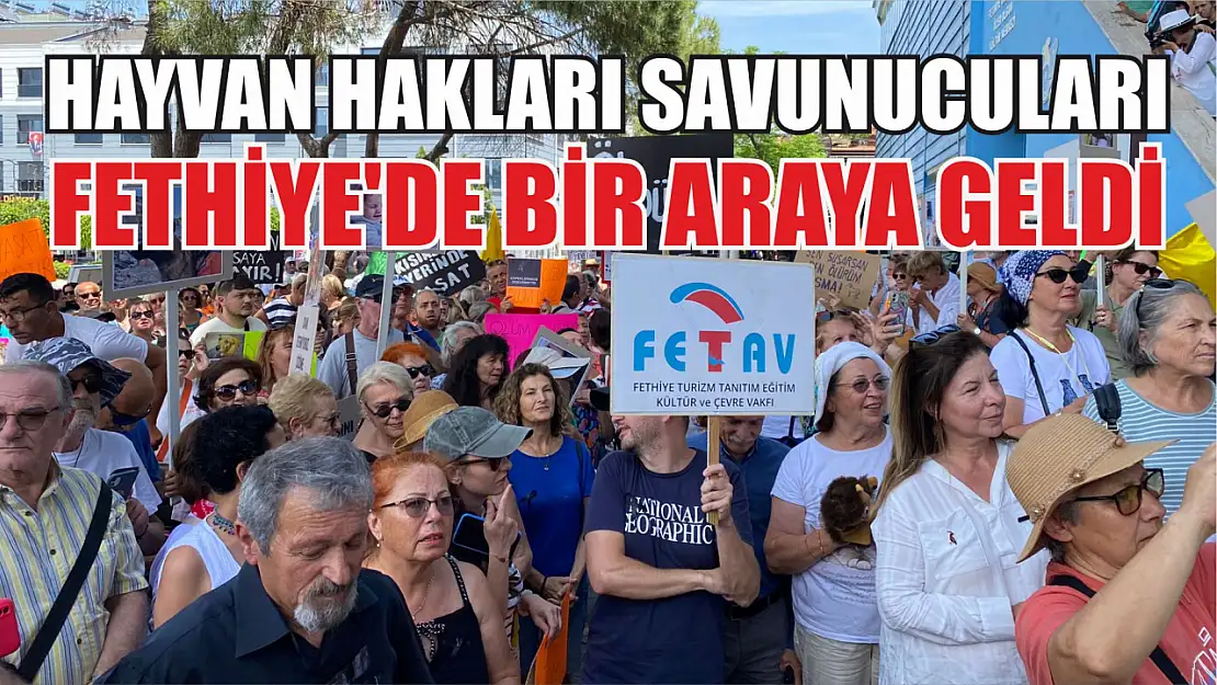 Hayvan hakları savunucuları Fethiye'de bir araya geldi