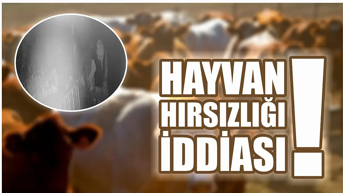 Hayvan hırsızlığı iddiası!