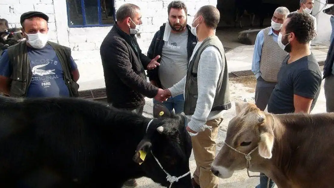 Hayvan pazarında bildik görüntüler