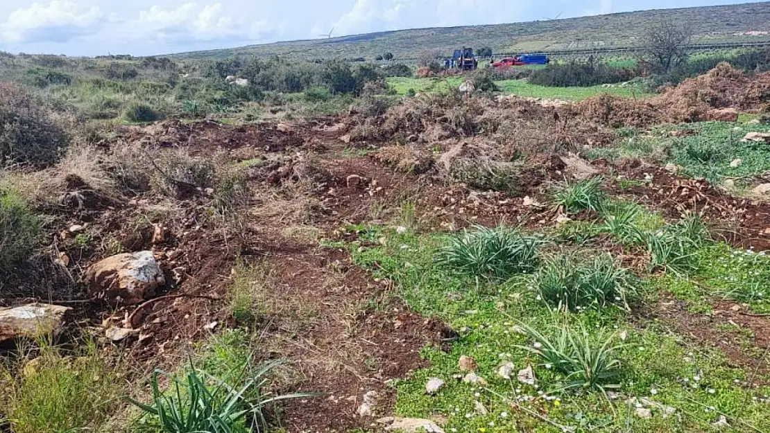 Hazine arazinde izinsiz yer açarken jandarmaya takıldı