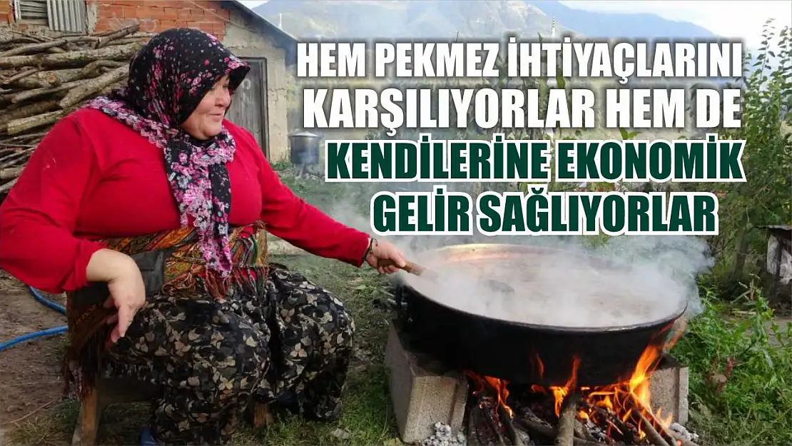 Hem pekmez ihtiyaçlarını karşılıyorlar hem de kendilerine ekonomik gelir sağlıyorlar