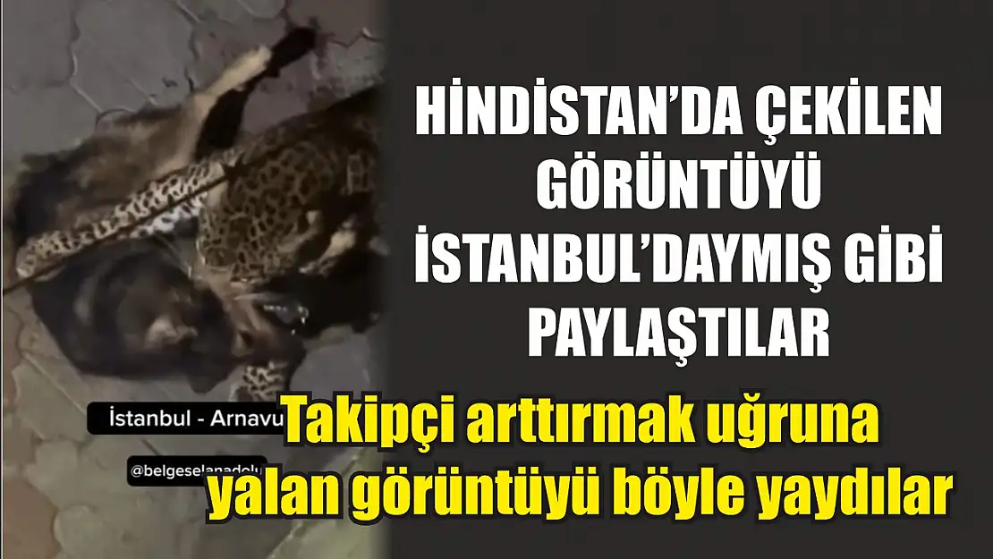 Hindistan'da çekilen görüntüyü İstanbul'daymış gibi paylaştılar