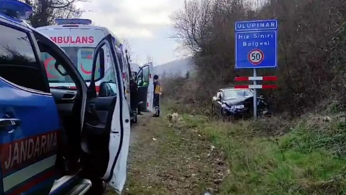 Hız yapan otomobil, hız uyarı tabelasına çarparak durabildi