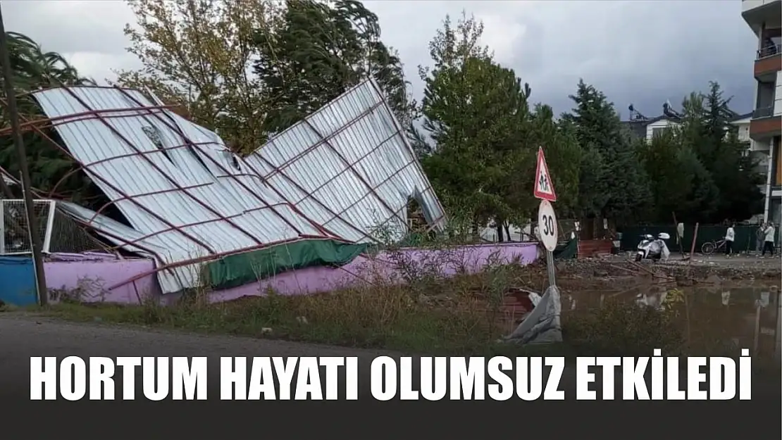 Hortum ve sağanak yağış hayatı olumsuz etkiledi