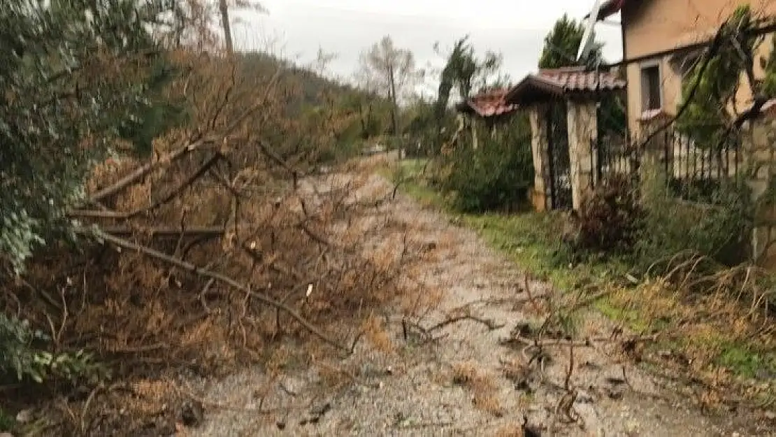 Hortum yıktı geçti