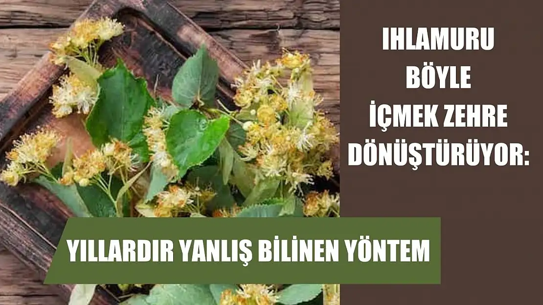 Ihlamuru böyle içmek zehre dönüştürüyor: Yıllardır yanlış bilinen yöntem