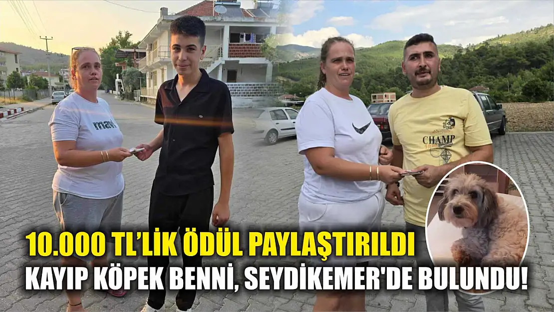 İki Hafta Sonra Mucize: Kayıp Köpek Benni, Seydikemer'de Bulundu!