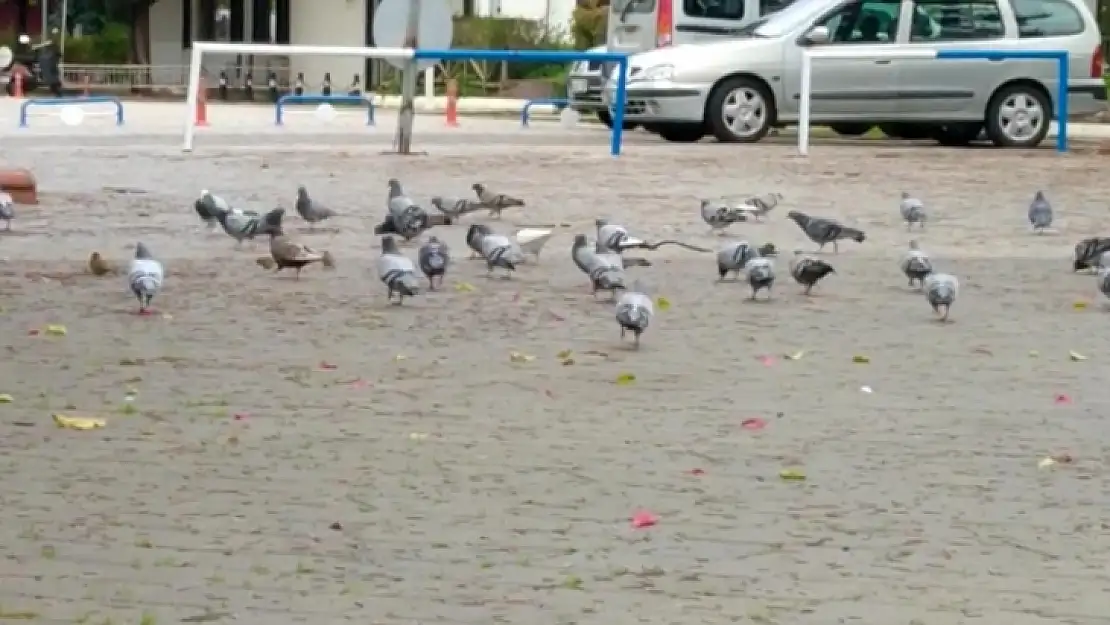 İkinci kısıtlamalarda da Fethiye, tedbirlere uydu