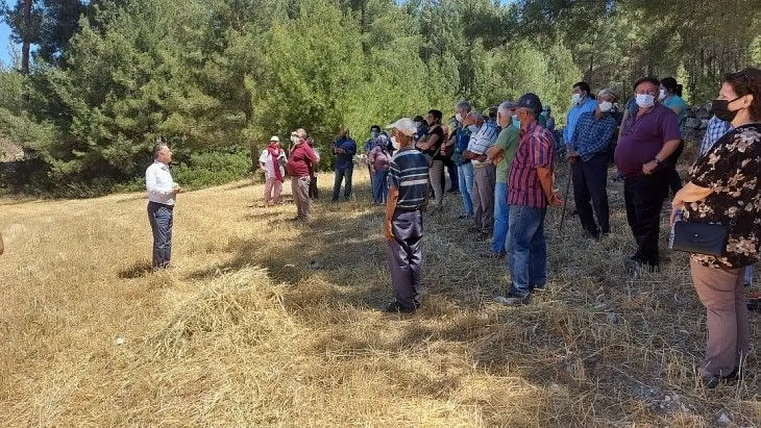 İkizköy Akbelen Ormanı  hem Muğla'nın hem de Türkiye'nin sorunudur!