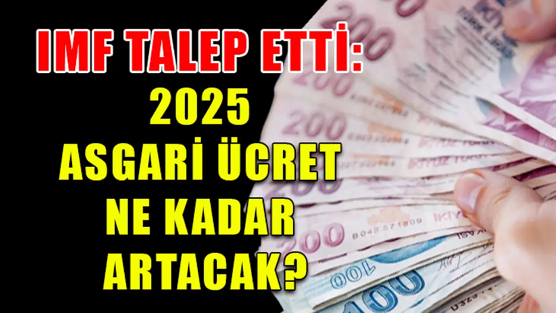 IMF Talep Etti: 2025 Asgari Ücret Ne Kadar Artacak?