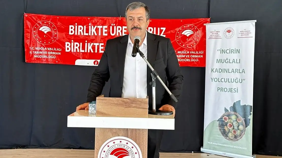 İncir fidanları dağıtıldı