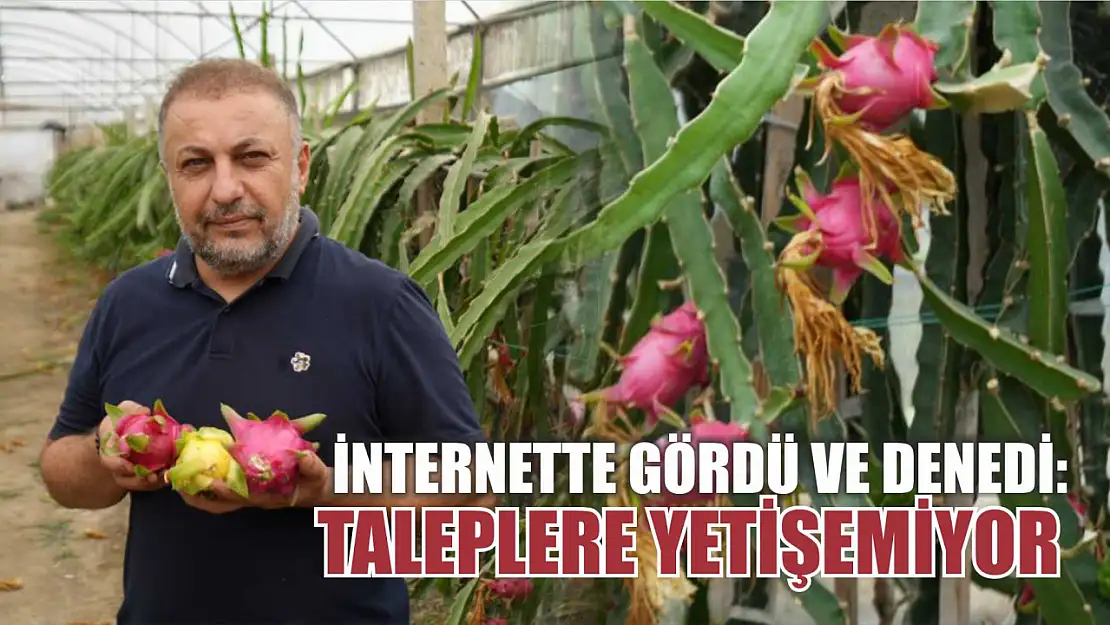 İnternette gördü ve denedi: Taleplere yetişemiyor