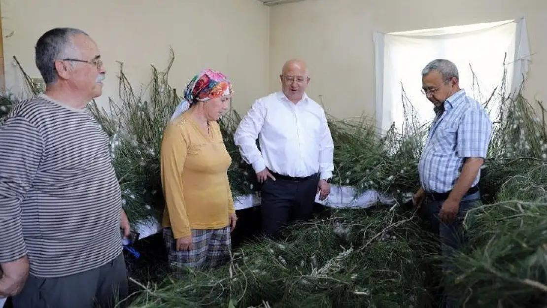 İpek böcekçiliği, kadın üreticilerin ellerinde canlanıyor