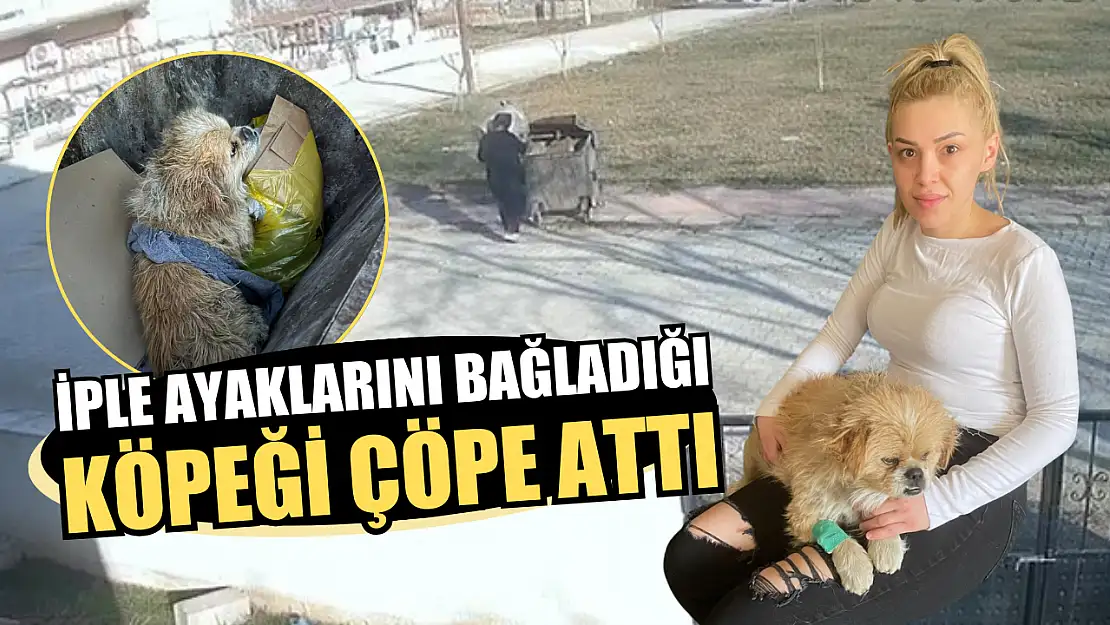 İple ayaklarını bağladığı köpeği çöpe attı