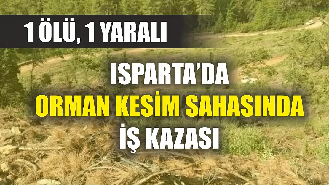 Isparta'da orman kesim sahasında iş kazası: 1 ölü, 1 yaralı