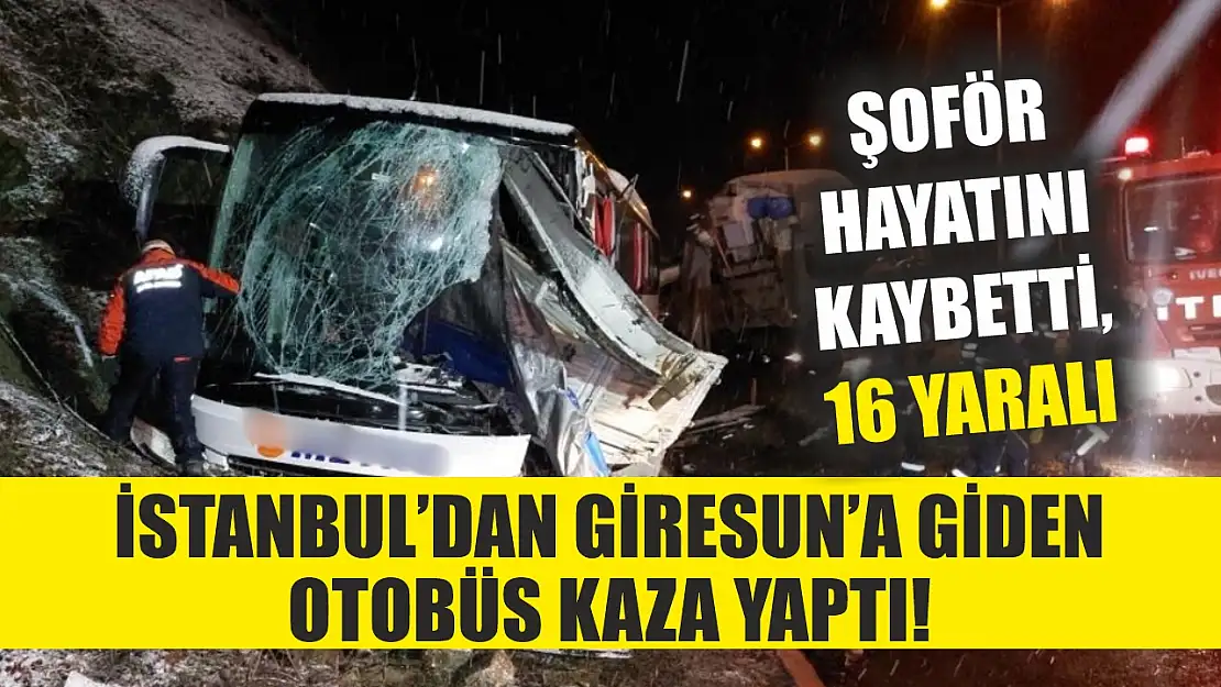 İstanbul'dan Giresun'a giden otobüs kaza yaptı! Şoför hayatını kaybetti, 16 yaralı