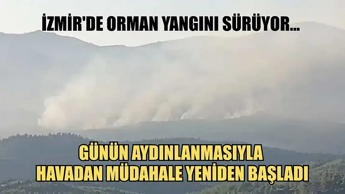 İzmir'de orman yangını sürüyor... Günün aydınlanmasıyla havadan müdahale yeniden başladı
