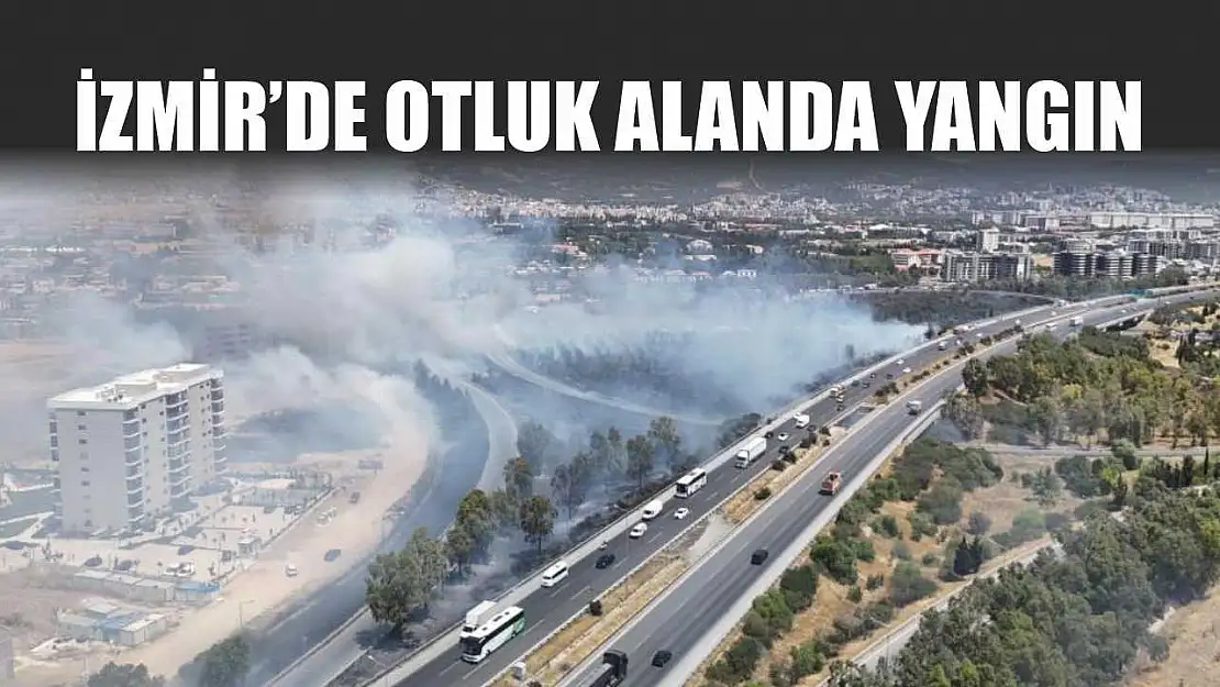 İzmir'de otluk alanda yangın