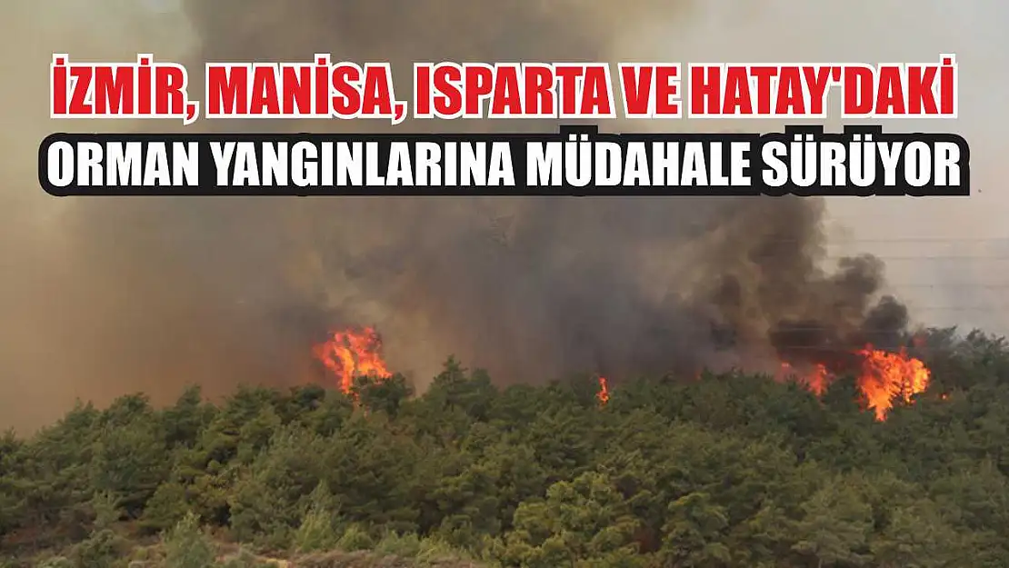 İzmir, Manisa, Isparta ve Hatay'daki orman yangınlarına müdahale sürüyor