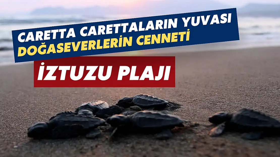 İztuzu plajı: Caretta carettaların yuvası, doğaseverlerin cenneti