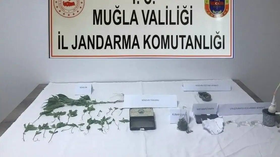 Jandarma'dan İki İlçede uyuşturucu operasyonu