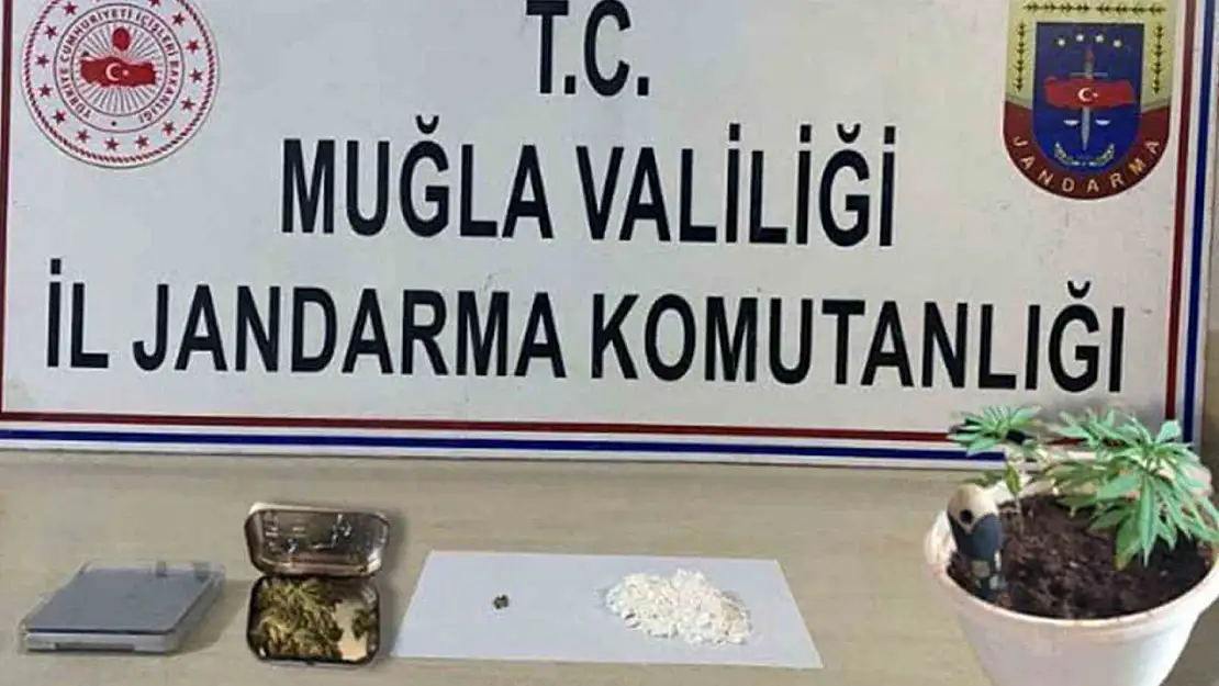 Jandarmadan Muğla genelinde uyuşturucu operasyonu